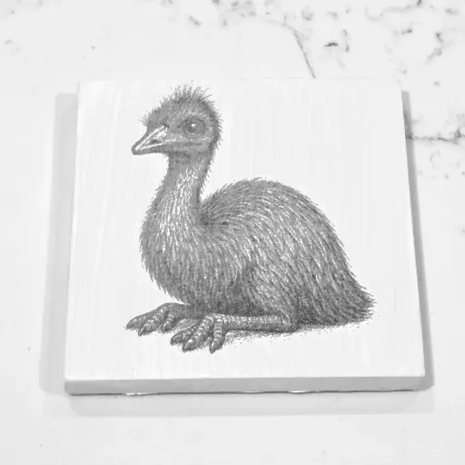 Emu Tile Coaster